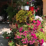 Natasha's Perama (Corfu)