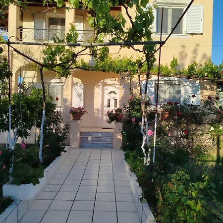 Natasha's