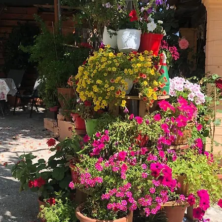Natasha's Perama (Corfu)