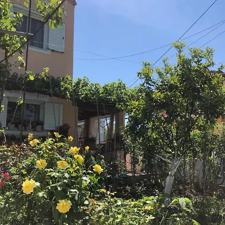 Natasha's * Perama (Corfu)