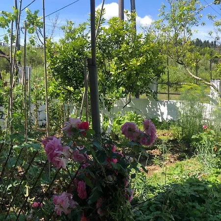 Natasha's Nyaraló Pérama