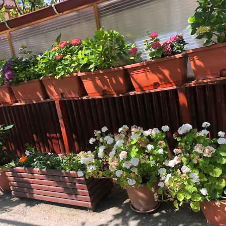 Natasha's Casa vacanze