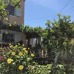 Natasha's * פראמה