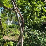 Natasha's Prázdninový dům Perama (Corfu)