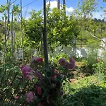Natasha's Prázdninový dům Perama (Corfu)