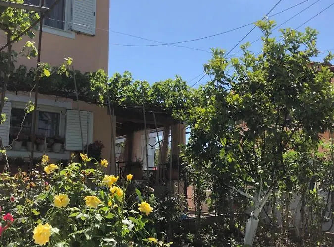 Natasha's * Perama (Corfu)