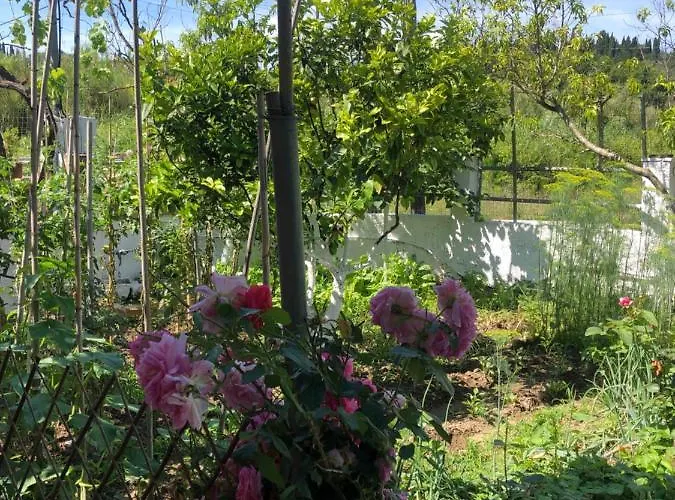 Natasha's Ferienhaus Perama (Corfu)