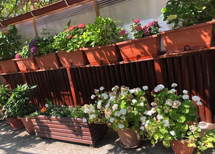 Natasha's Ferienhaus